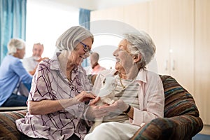 Senior women talking while stroking kitten