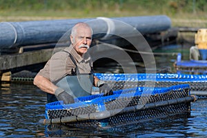 Senior worker at fishfarm photo