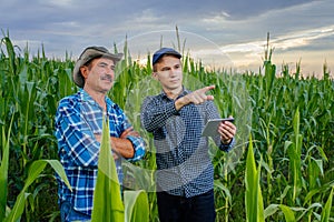 Senior and young farmer standing in a corn field with tablet