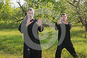 Senior and young guy do Qi Gong or Tai Chi exercise in the apple garden