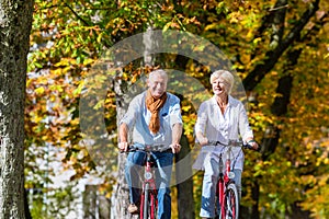 Seniors on bicycles having tour in park