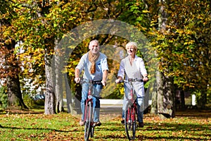 Seniors on bicycles having tour in park