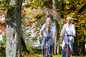 Seniors on bicycles having tour in park