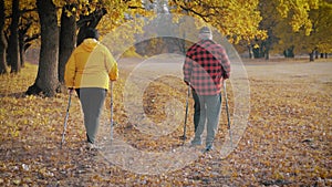 Seniors couple nordic walking in autumn forest.