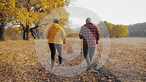 Seniors couple nordic walking in autumn forest.