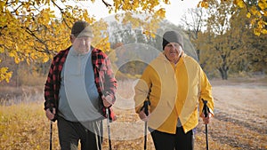 Seniors couple nordic walking in autumn forest.