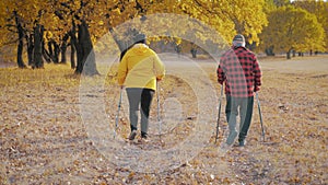 Seniors couple nordic walking in autumn forest.