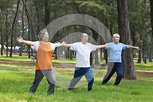 Seniors doing gymnastics in the park