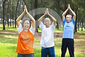 Seniors doing gymnastics in the park