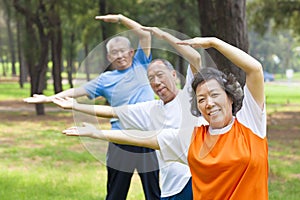 Seniors doing gymnastics in the park