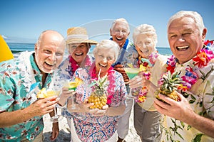 Seniors drinking cocktails