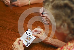 Seniors gambling