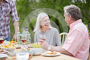 Seniors at Garden Party