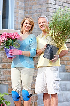 Seniors gardening