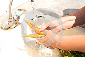 Seniors hands wash ripe new crop carrots under a tap of warm water on the streets of the garden on a sunny summer day.