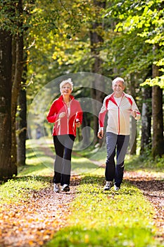 Seniors jogging on a forest road