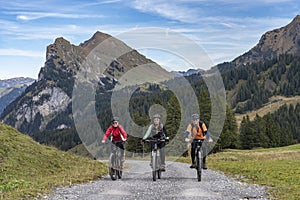 Seniors on mountain bikes in the austrian alps