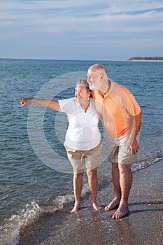 Seniors Sightseeing at the Beach