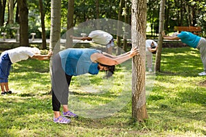 Seniors stretching in a park