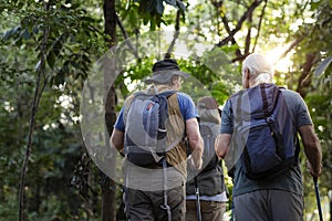 Seniors trekking in a forest