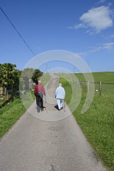 Seniors walkings