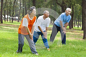 Seniors are warming up before jogging in the park