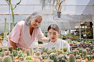 Seniors women with her daugther holding potted cactus at plant market.