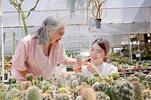 Seniors women with her daugther holding potted cactus at plant market.