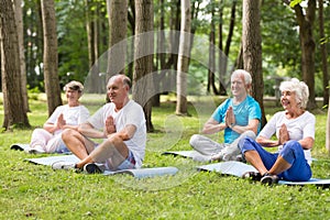 Seniors working out in a park