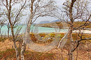 The Senja Island in Norway