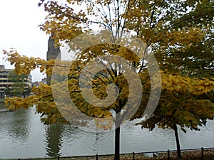 The Senne is a small river that flows through Brussels.