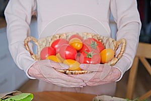 Senora woman holding a basket with farm tomatoes