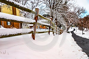 Sensational Winter Snowy woods Photography