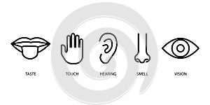 Sense organs in cartoon style. Graphic image of nose, mouth, ears, eyes, hands. Stock image. Vector illustration.