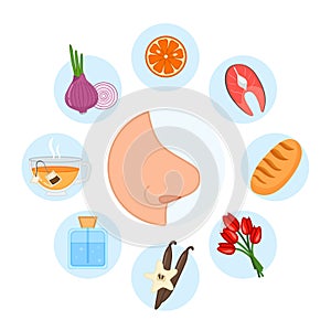 5 sense organs. Smell.