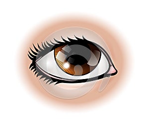 Eye Body Part photo