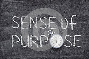 Sense of purpose watch