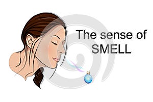 The sense of smell photo