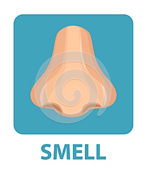 Sense of smell icon flat style. Nose. Isolated on white background. Vector illustration.