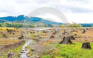 Sense of sunny beach point when low water level in autumn in mt.Rainier area,Washington,usa.