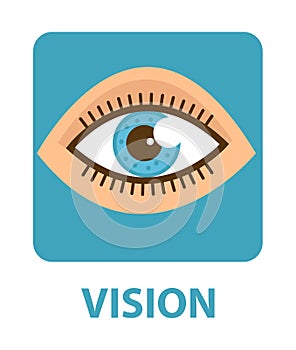 Sense of vision flat style icon. Eye. Isolated on white background. Vector illustration.