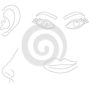 Senses, eyes ear nose lips illustration