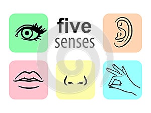 Senses icons. Five human illustrative senses vector illustration, taste and smell or nose sights