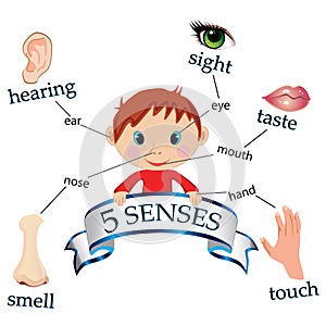 5 senses photo