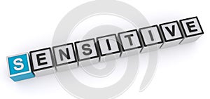 Sensitive word block