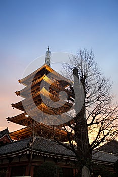 Senso-Ji Temple, Asakusa, Tokyo, Japan