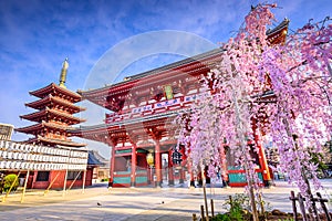 Sensoji Temple