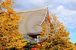 Sensoji temple in Asakusa