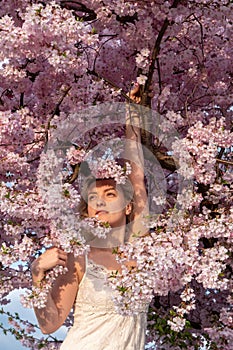 sensual seductive young sexy blonde woman portrait in white dress in tree surrounded by japanese cherry blossoms