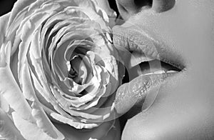Sensual woman lips with beautiful rose. Lips with lipstick closeup. Beautiful sexy woman lips with rose.